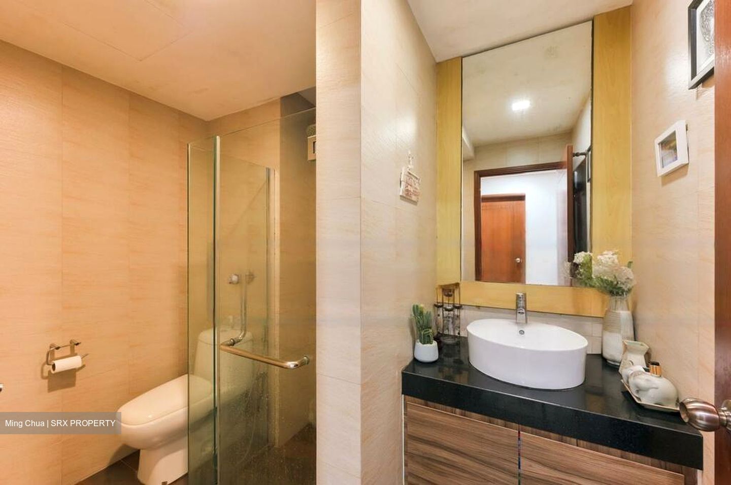 Sanctuary Green (D15), Condominium #498213081